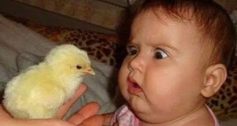 41 Hilarious Reaction GIFs That Say More Than Words Ever Could