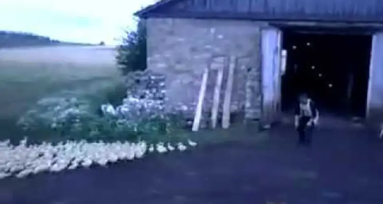 Russian Guy Controls All The Ducks