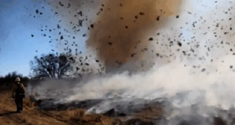 43 Of The Greatest GIFs The Internet Has Ever Seen