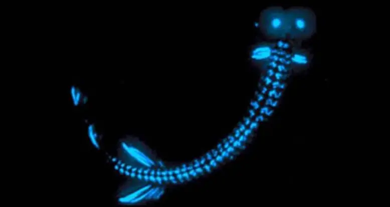 Nature Is F*cking Lit: 31 Of Nature’s Most Bad Ass GIFs