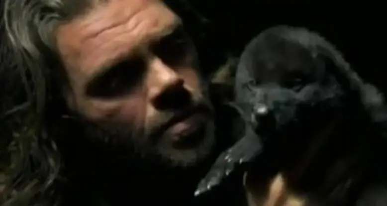 Teaching A Baby Wolf How To Howl