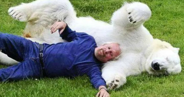 The Benefits Of Being A Polar Bear Zookeeper