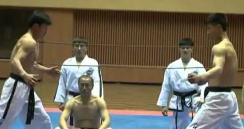 Taekwondo In North Korea