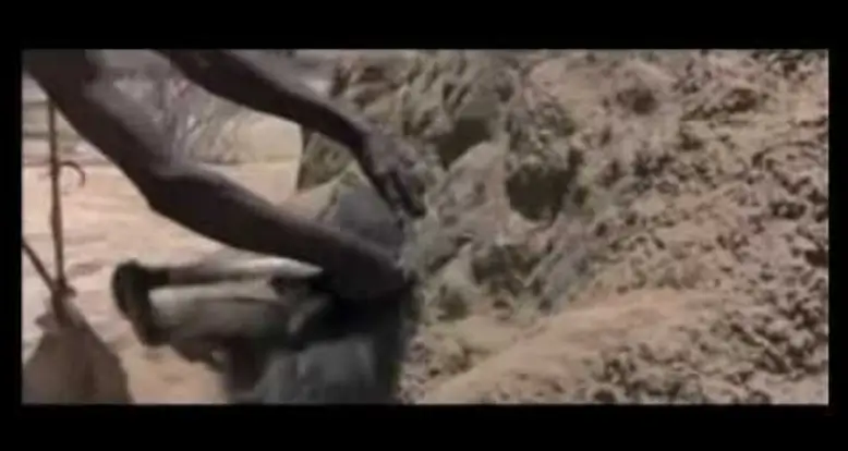 How To Fool A Baboon
