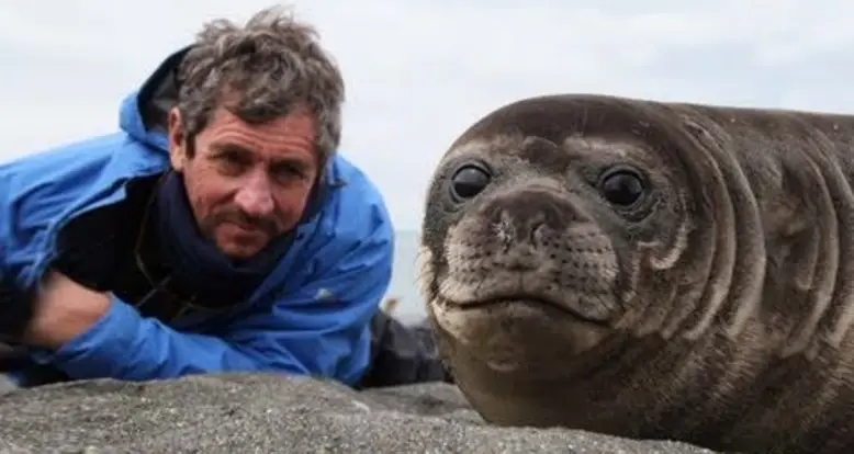 Baby Seals Just Want To Cuddle