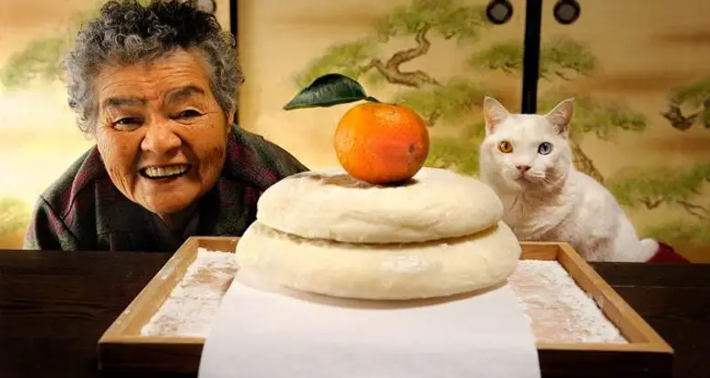 The Heartwarming Story Of A Grandmother & Her Cat