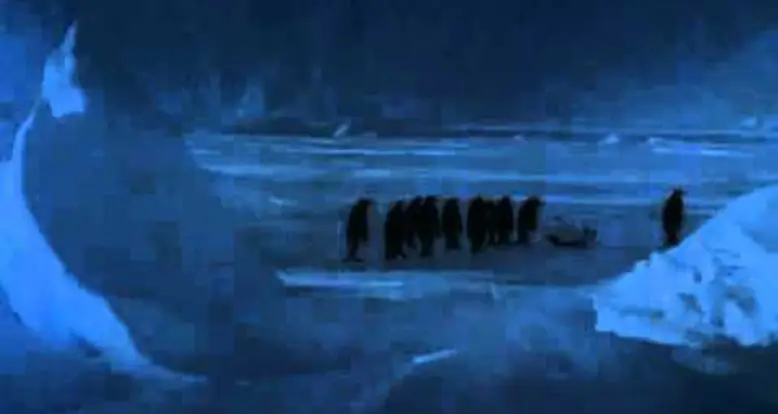 A Penguin Slips