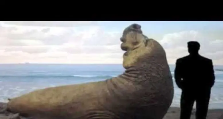 The 25 Largest Animals On Earth