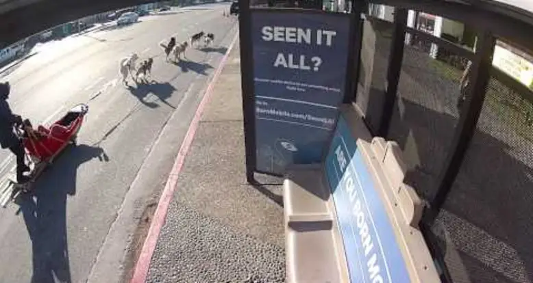 Best Bus Stop Ever