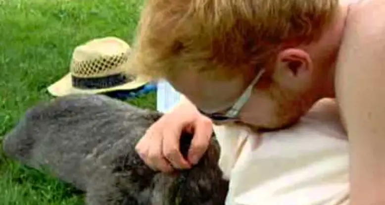 A Pet Wombat