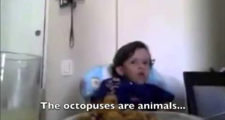 3 Year Old Beautifully Explains Why He Doesn’t Eat Meat