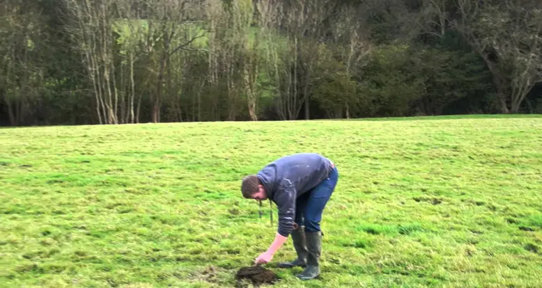 Why You Don’t Put A Firecracker In A Pile Of Cow Poop