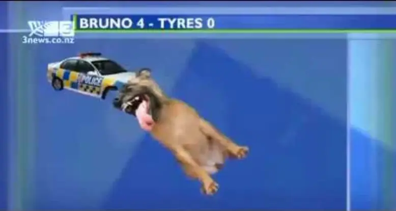 Amazing Graphics On New Zealand News