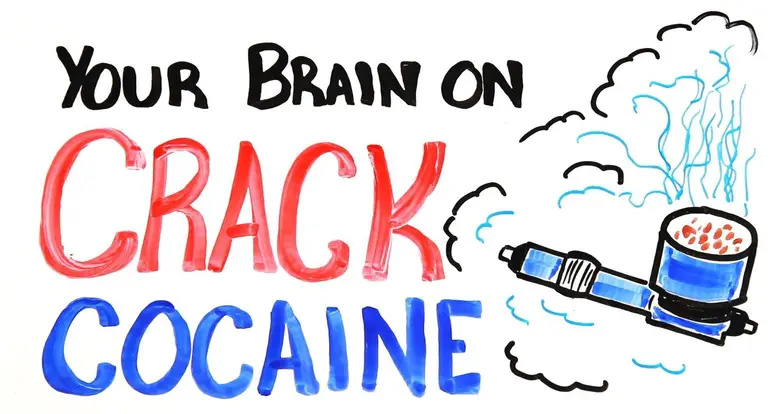 What Happens To Your Brain On Crack