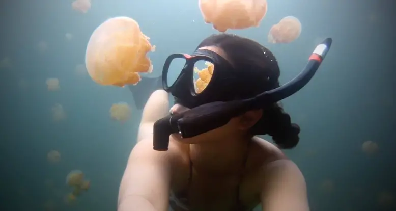Unspeakably Beautiful: Swimming In Jellyfish Lake