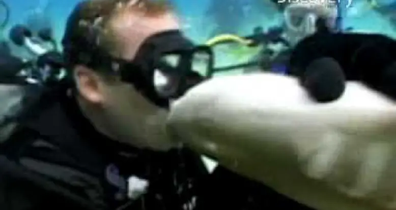 Did You Know Kissing A Shark Is A Bad Idea?