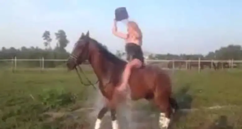 Why You Should Never Do The Ice Bucket Challenge On Top Of A Horse