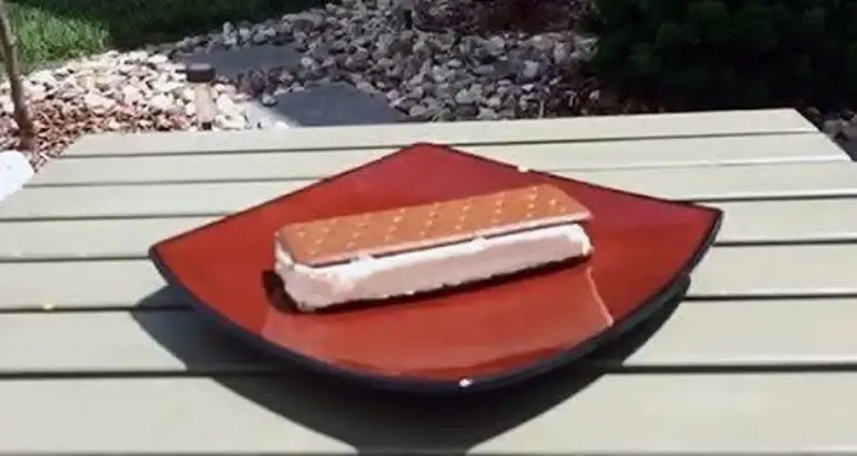 You’ll Never Want To Eat Another Walmart Ice Cream Sandwich After You See…