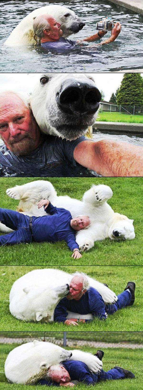 benefits polar bear zookeeper The Benefits Of Being A Polar Bear Zookeeper