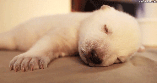 cute-puppy-gifs-sleepy.gif