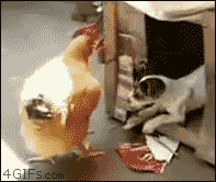 animals-being-dicks-gifs-humping-puppy.g