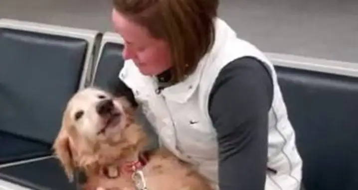 Dog Reacts To Mom Coming Back From Afghanistan