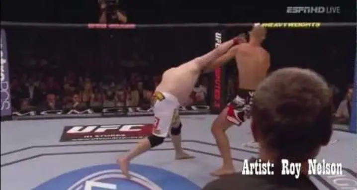 The Best MMA Knockouts Of 2012