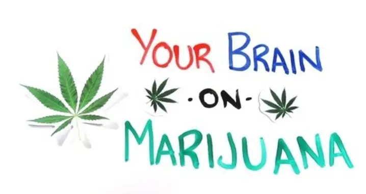 What Happens To Your Mind On Marijuana