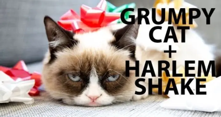 Grumpy Cat Does The Harlem Shake