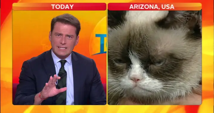 Australian Anchor Loses It On Grumpy Cat