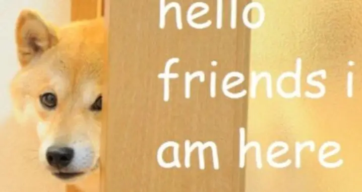 Doge GIFs: 23 Of The Funniest Animated Doge GIFs