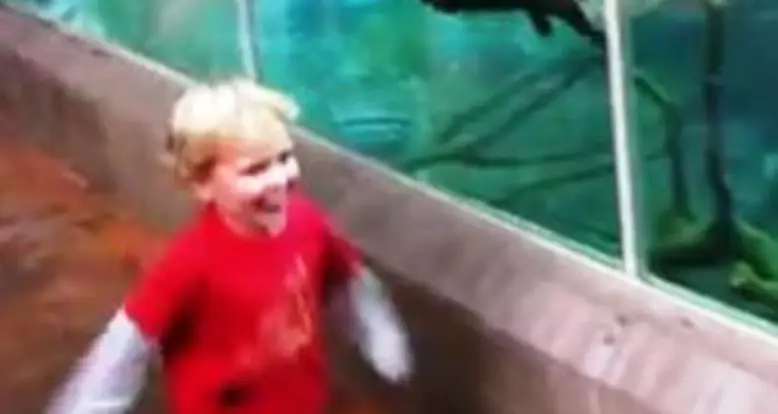Playing With An Otter At The San Diego Zoo
