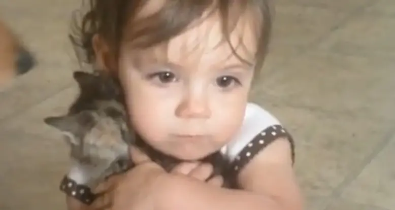 Little Girl Loves Her Kitty