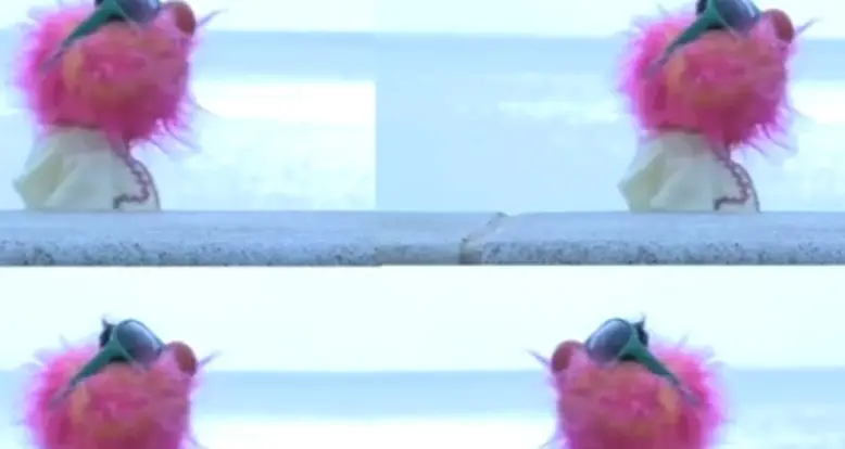 The Muppets & LCD Soundsystem Rock Out