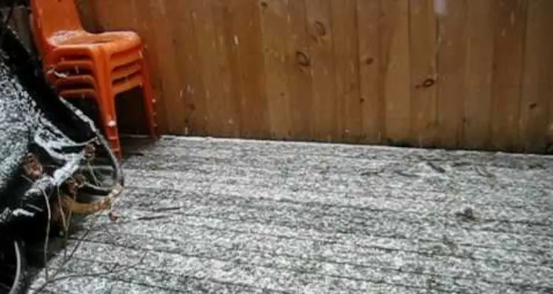 Cat Is Completely Confused By Snow