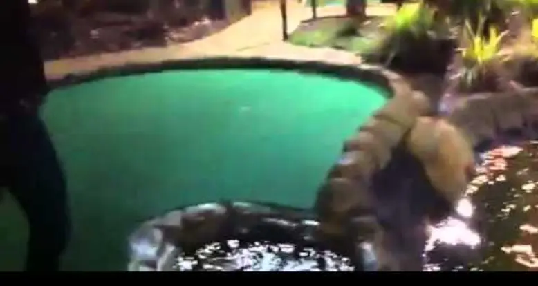 The Greatest Putt Putt Shot Ever