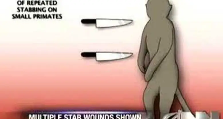 Multiple Stab Wounds May Be Deadly