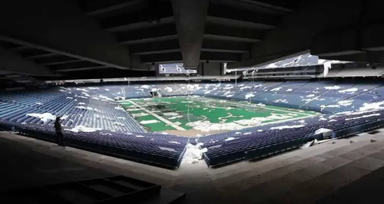 Nature Begins To Takeover The Silverdome