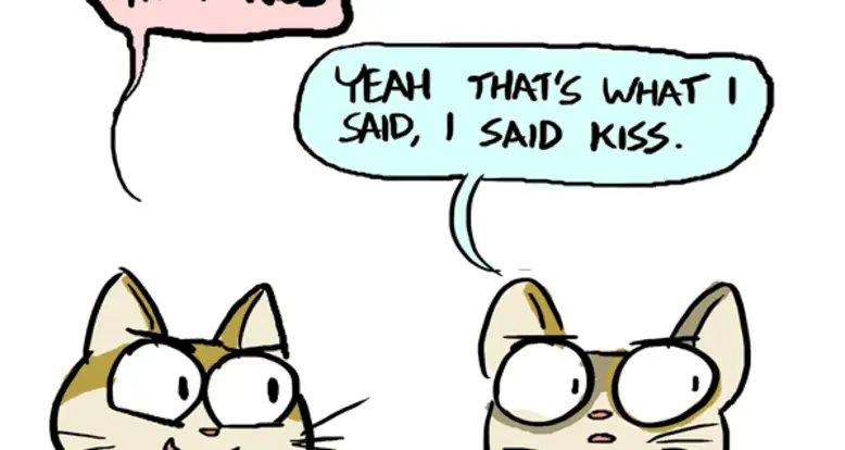 Behind The GIF: Experimenting Before Kitten Prom