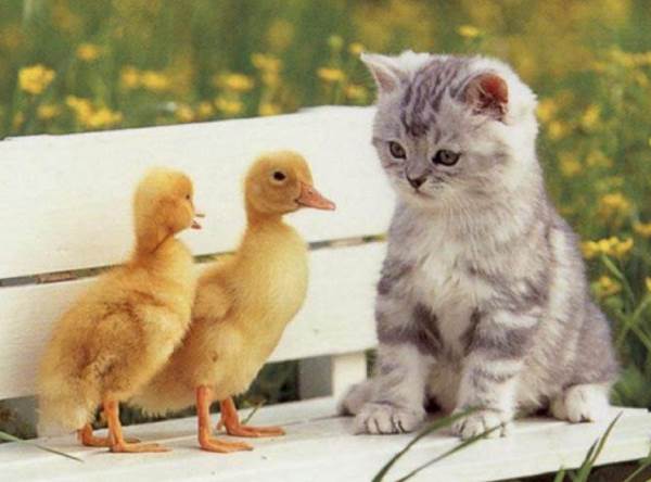 Cutest Pictures Ever