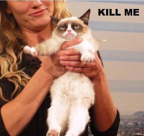 Grumpy Cat Being Held