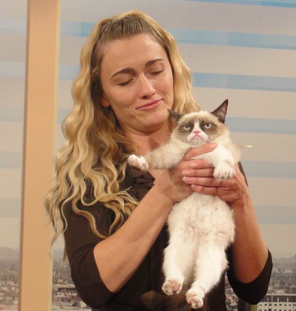 Grumpy Cat Pictures Held Up