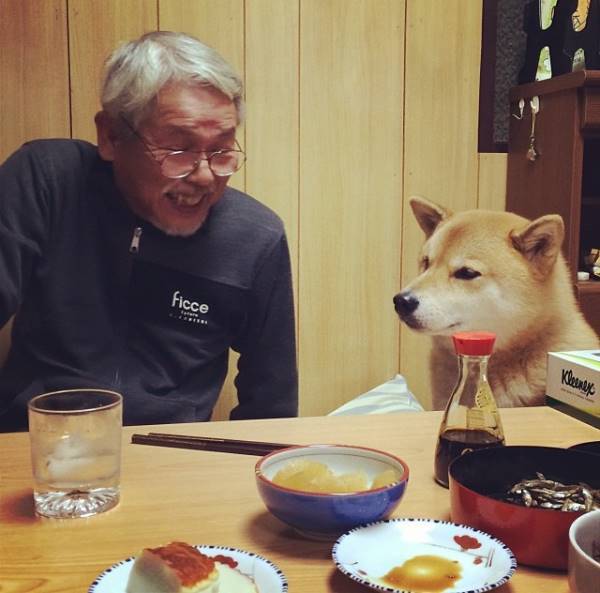 Maru At The Dinner Table