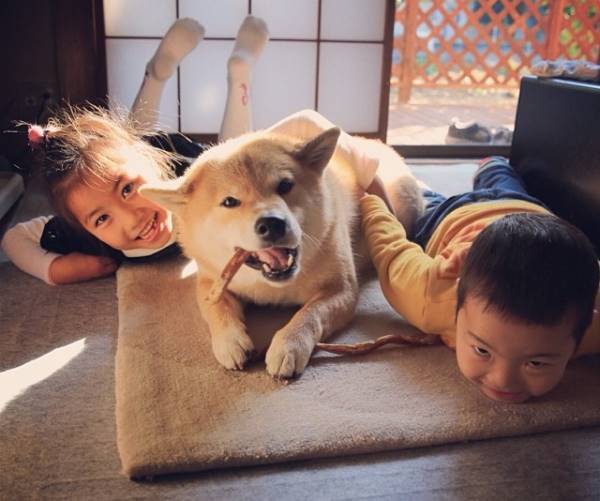 Marutaro Family