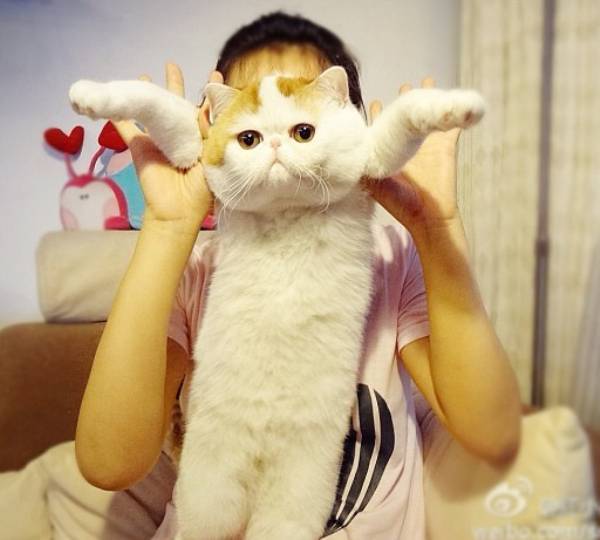 Snoopybabe