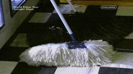 Dog Mop