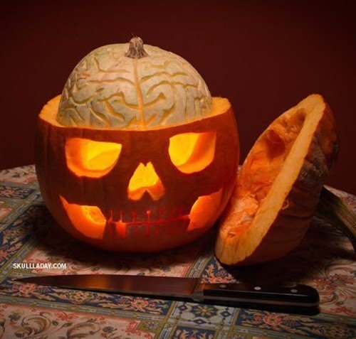 Brain