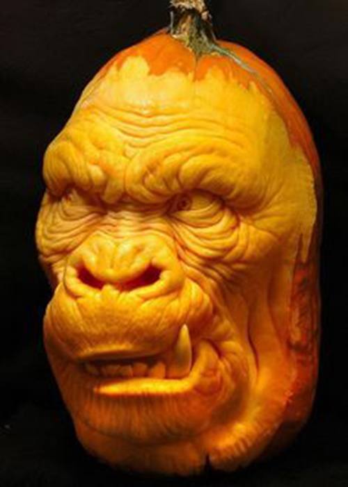Funny Monkey