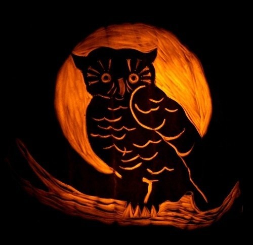 Scary Owl
