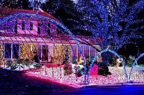 Crazy Christmas Decorations Purple